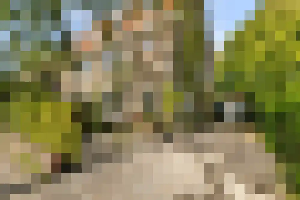 Alberdingk Thijmlaan 48 Heemstede thumbnail 9