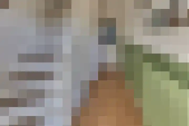 Alberdingk Thijmlaan 49 Harderwijk thumbnail 5