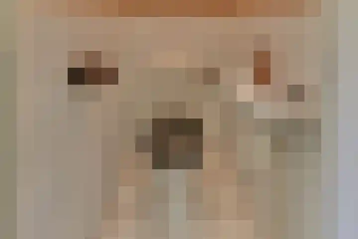 Alberdingk Thijmlaan 49 Harderwijk thumbnail 7