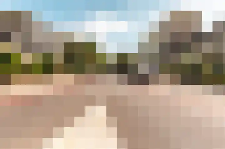 Alberdingk Thijmlaan 54 Harderwijk thumbnail 36