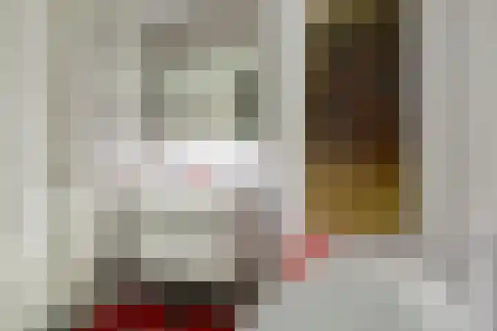 Alberdingk Thijmlaan 56 Eindhoven thumbnail 27