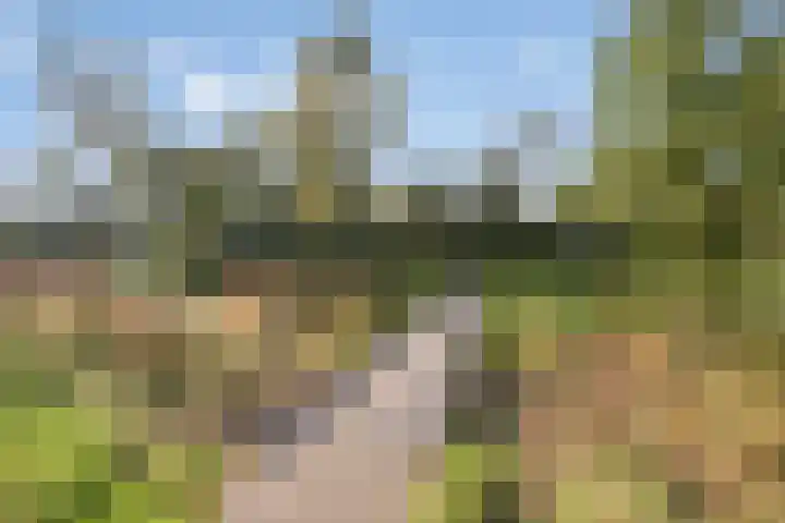Alberdingk Thijmlaan 56 Eindhoven thumbnail 35
