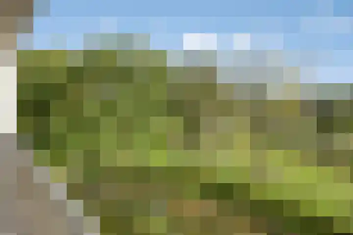 Alberdingk Thijmlaan 56 Eindhoven thumbnail 6