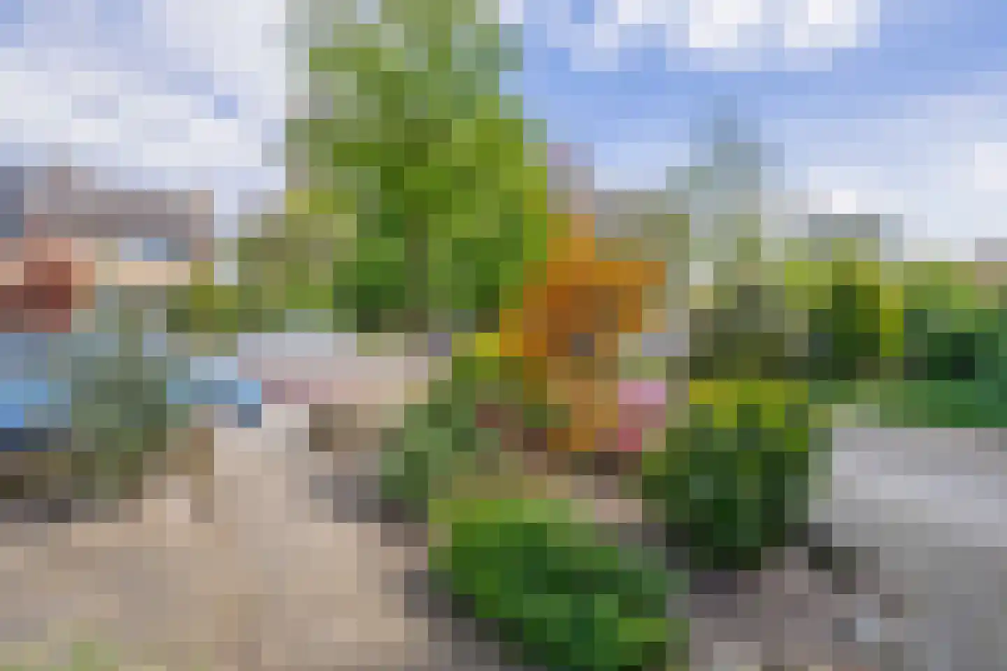 Alberdingk Thijmlaan 66 A Harderwijk thumbnail 30
