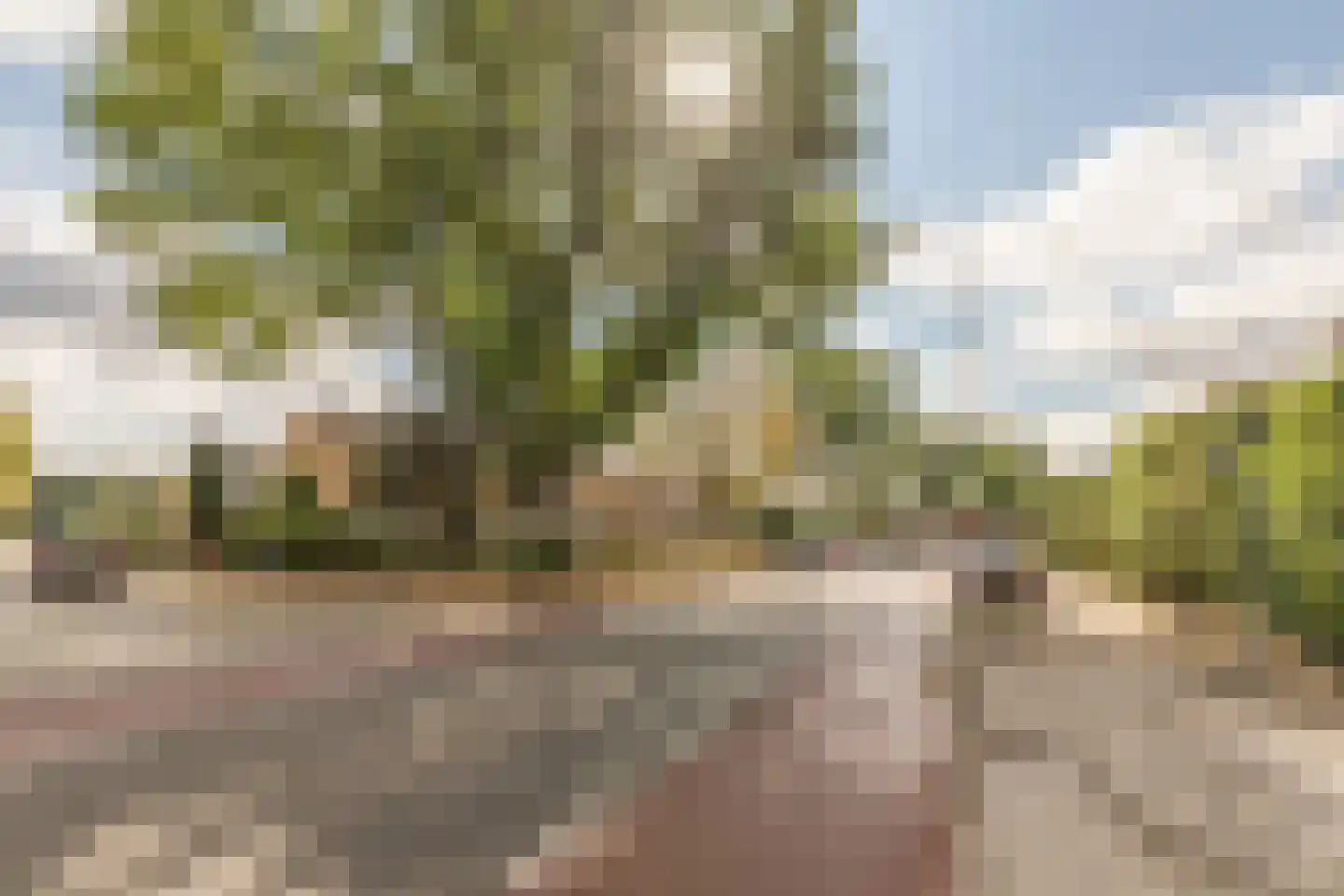 Alberdingk Thijmlaan 7 Harderwijk thumbnail 36