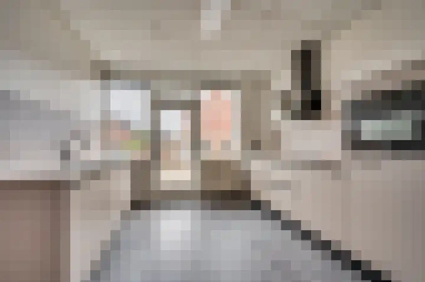 Alberdingk Thijmstraat 1 Venlo thumbnail 13