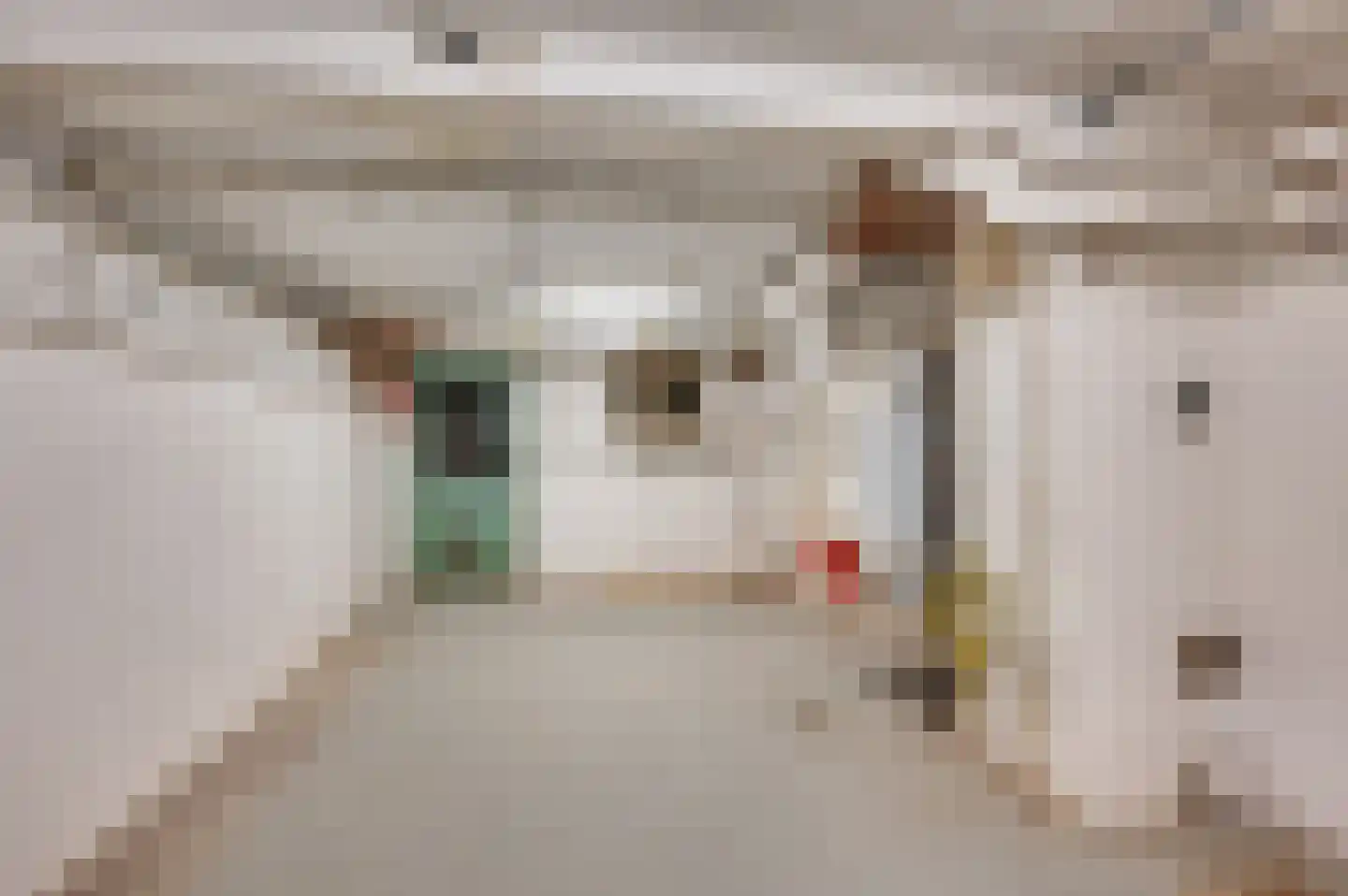Alberdingk Thijmstraat 1 Venlo thumbnail 25