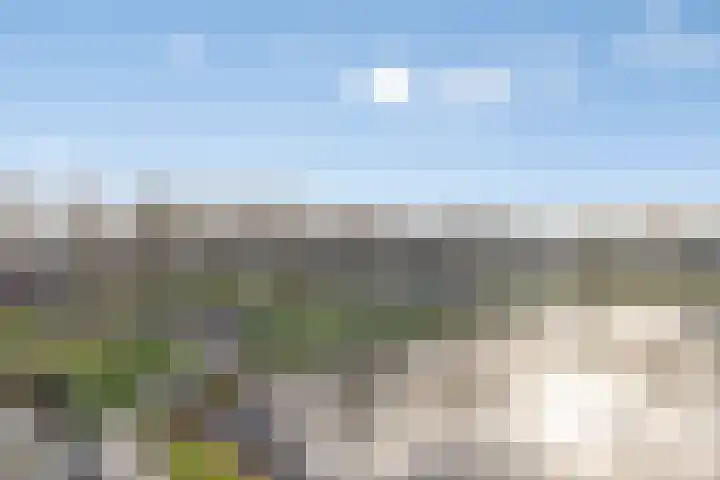 Alberdingk Thijmstraat 111 Terneuzen thumbnail 34