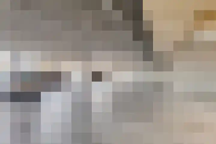 Alberdingk Thijmstraat 111 Terneuzen thumbnail 38
