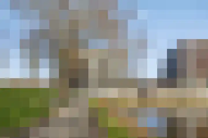 Alberdingk Thijmstraat 111 Terneuzen thumbnail 41