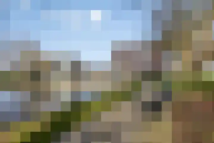 Alberdingk Thijmstraat 111 Terneuzen thumbnail 43