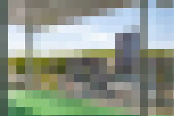Alberdingk Thijmstraat 115 Terneuzen thumbnail 30