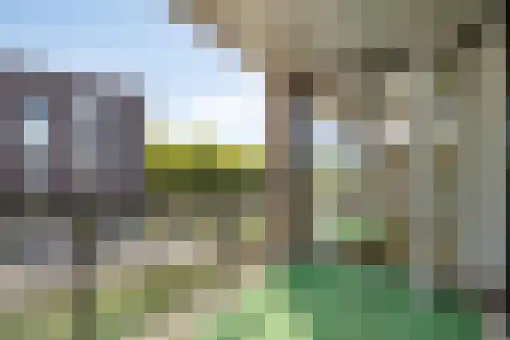 Alberdingk Thijmstraat 115 Terneuzen thumbnail 31