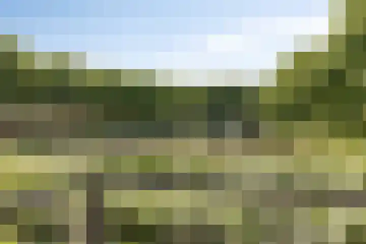 Alberdingk Thijmstraat 115 Terneuzen thumbnail 33