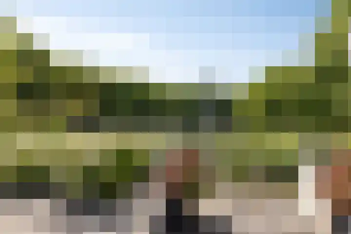 Alberdingk Thijmstraat 115 Terneuzen thumbnail 34
