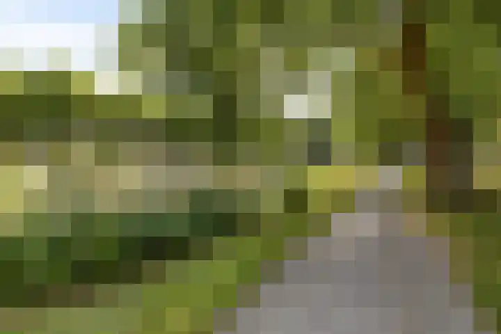 Alberdingk Thijmstraat 115 Terneuzen thumbnail 35