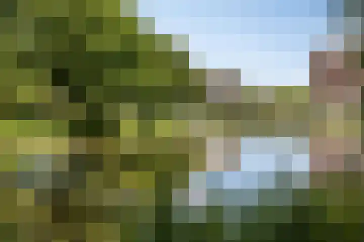 Alberdingk Thijmstraat 115 Terneuzen thumbnail 36