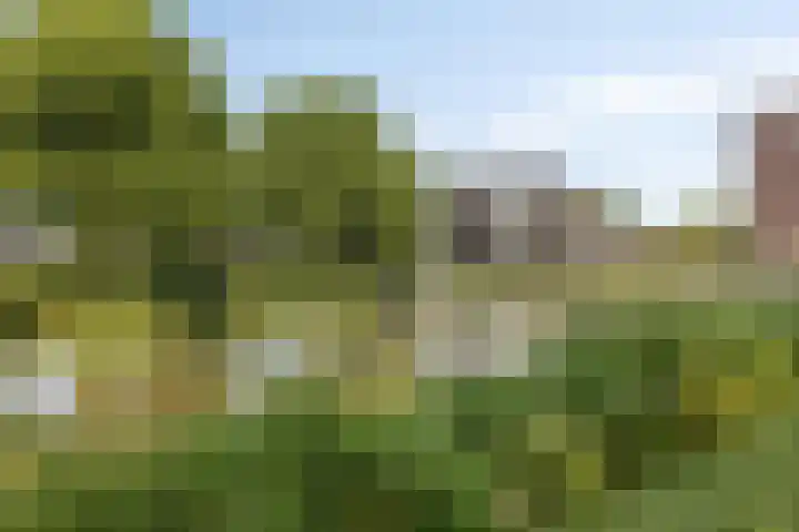 Alberdingk Thijmstraat 115 Terneuzen thumbnail 37