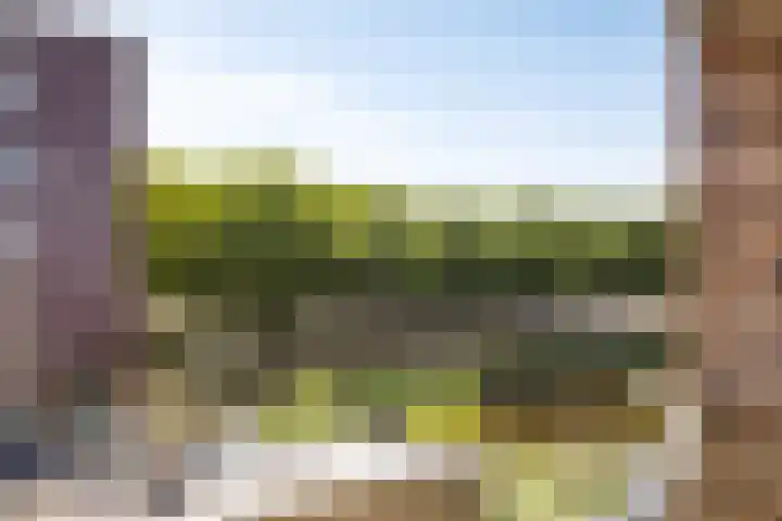 Alberdingk Thijmstraat 115 Terneuzen thumbnail 4