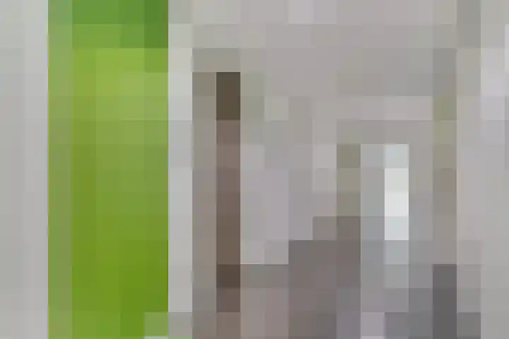 Alberdingk Thijmstraat 115 Terneuzen thumbnail 9