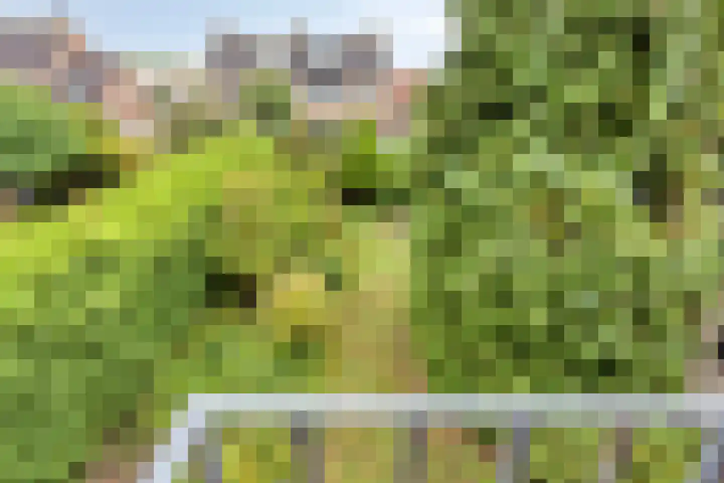 Alberdingk Thijmstraat 12 Etten-Leur thumbnail 21