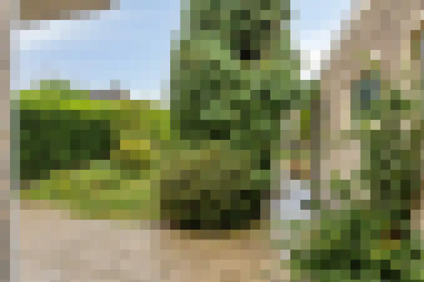 Alberdingk Thijmstraat 12 Etten-Leur thumbnail 27