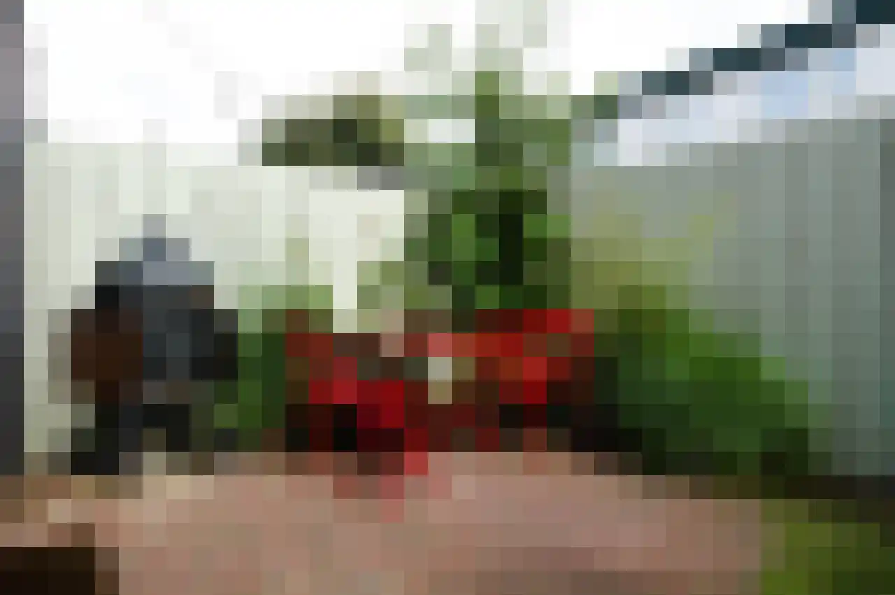 Alberdingk Thijmstraat 13 Haarlem thumbnail 38