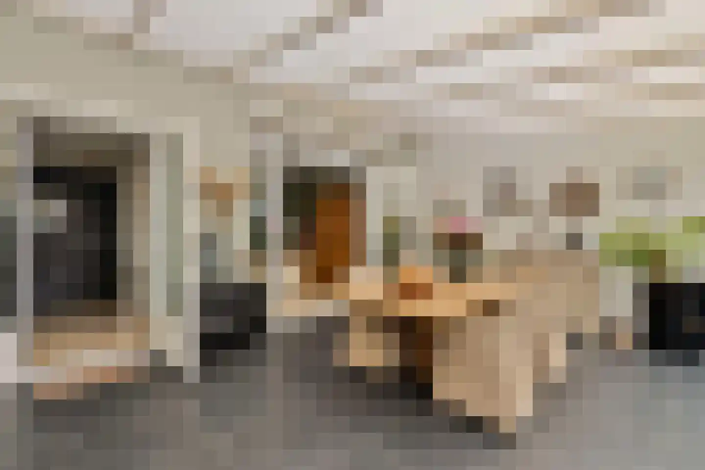 Alberdingk Thijmstraat 20 Venlo thumbnail 10