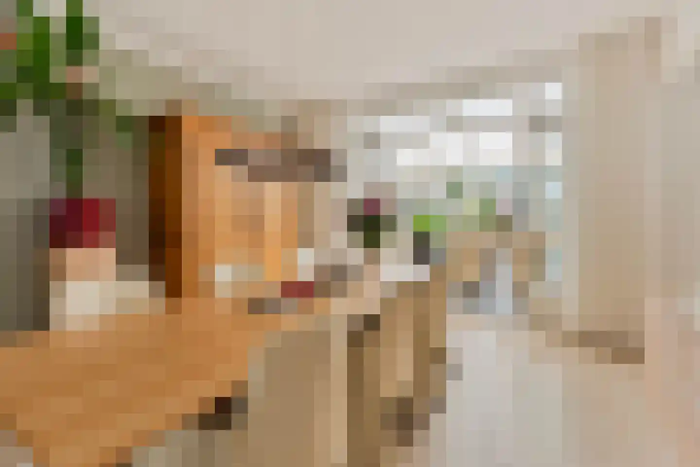 Alberdingk Thijmstraat 20 Venlo thumbnail 8