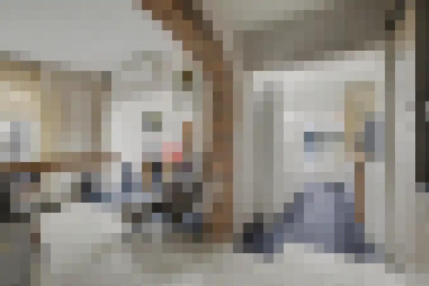 Alberdingk Thijmstraat 28 Venlo thumbnail 10