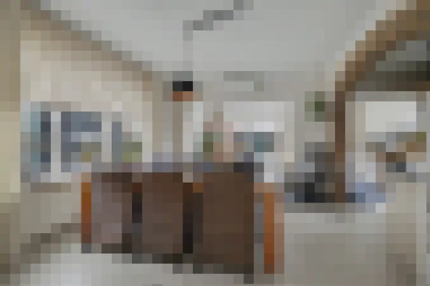 Alberdingk Thijmstraat 28 Venlo thumbnail 6