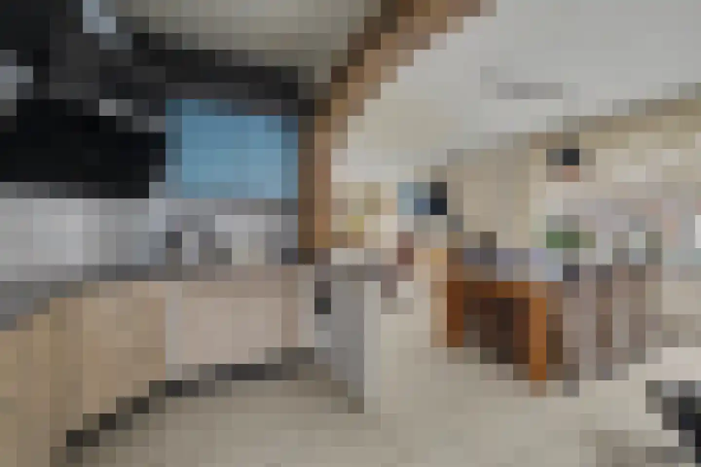 Alberdingk Thijmstraat 28 Venlo thumbnail 8