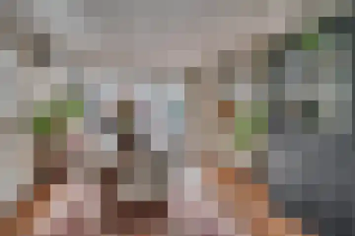 Alberdingk Thijmstraat 3 Venlo thumbnail 12