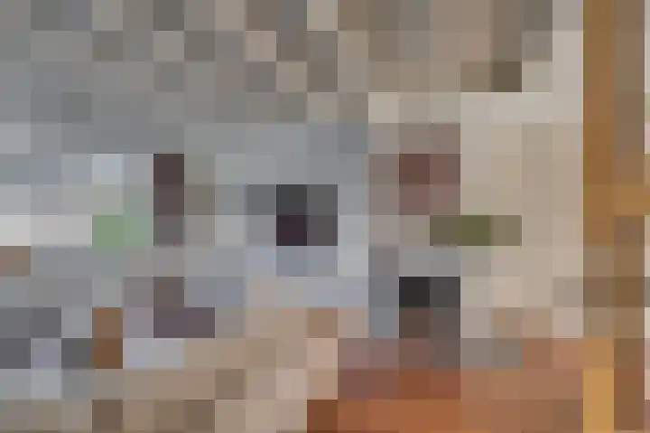 Alberdingk Thijmstraat 3 Venlo thumbnail 4