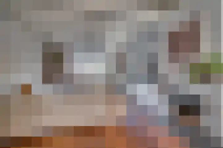 Alberdingk Thijmstraat 3 Venlo thumbnail 5