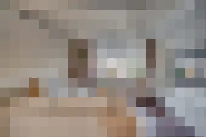 Alberdingk Thijmstraat 3 Venlo thumbnail 6