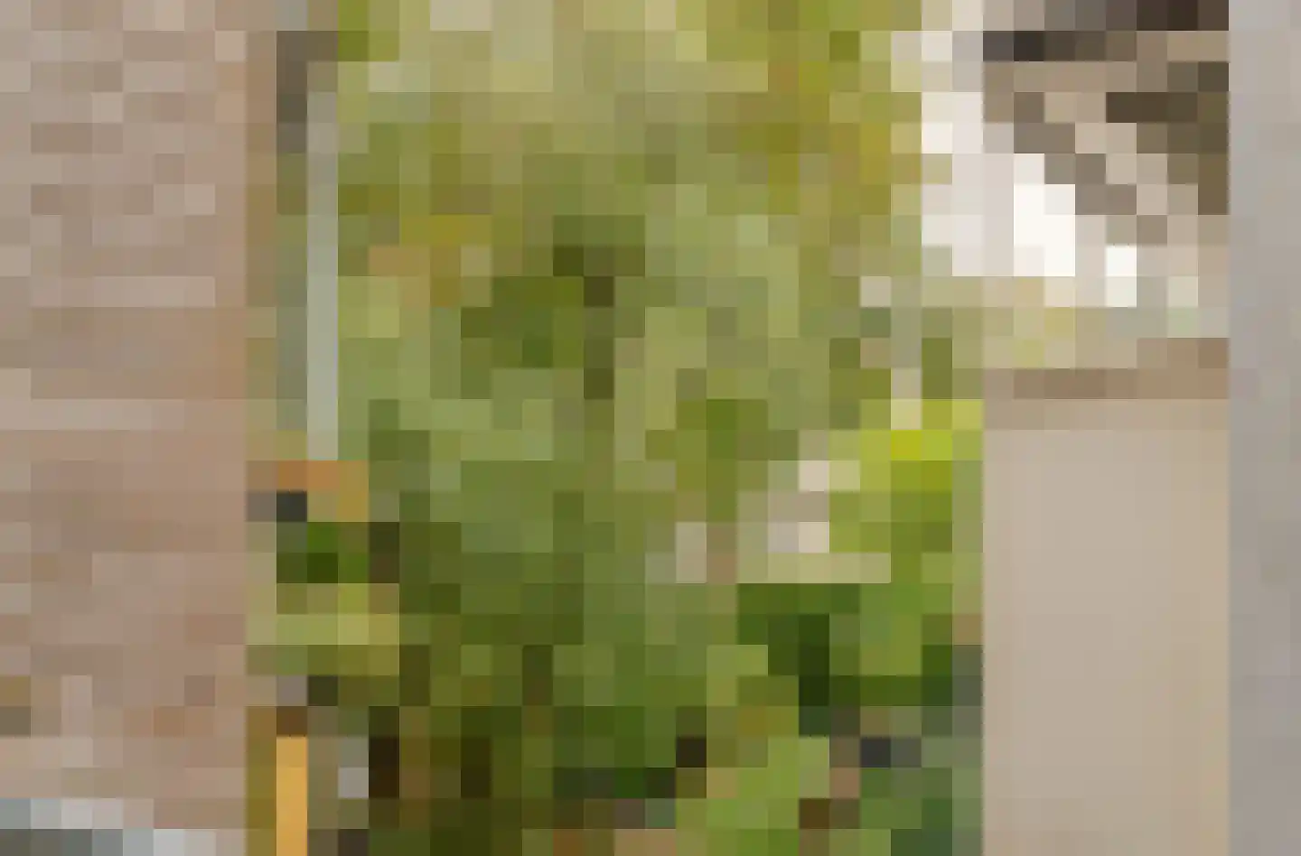 Alberdingk Thijmstraat 32 2 Amsterdam thumbnail 19