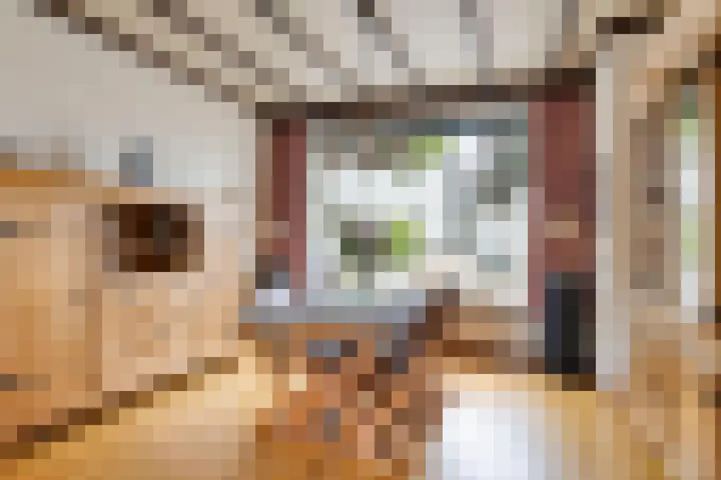 Alberdingk Thijmstraat 32 Tilburg thumbnail 5