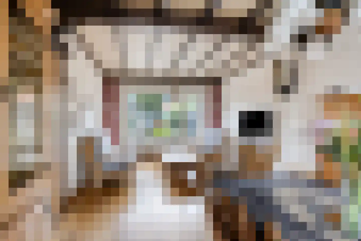 Alberdingk Thijmstraat 32 Tilburg thumbnail 6