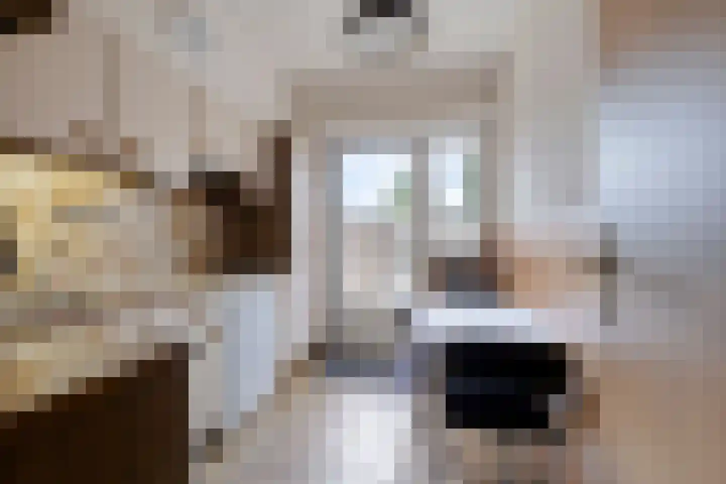 Alberdingk Thijmstraat 32 Tilburg thumbnail 8