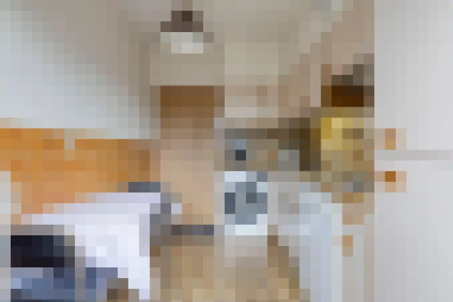 Alberdingk Thijmstraat 32 Tilburg thumbnail 9