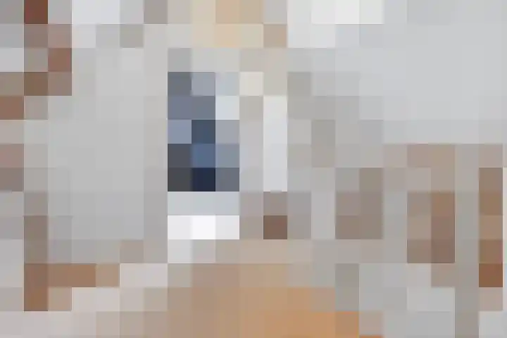 Alberdingk Thijmstraat 33 Venlo thumbnail 33