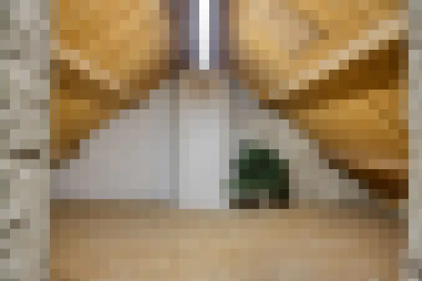 Alberdingk Thijmstraat 35 Waalwijk thumbnail 22