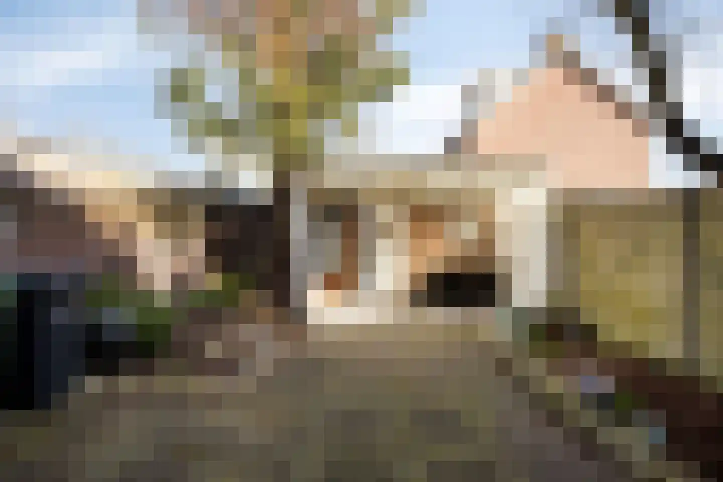 Alberdingk Thijmstraat 35 Waalwijk thumbnail 4