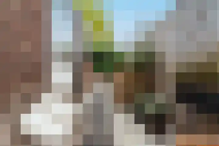 Alberdingk Thijmstraat 4 Tilburg thumbnail 36