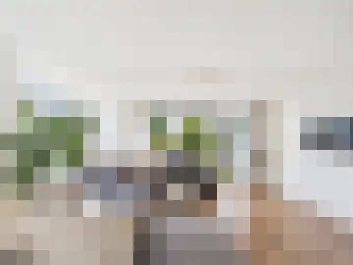 Alberdingk Thijmstraat 45 Terneuzen thumbnail 5