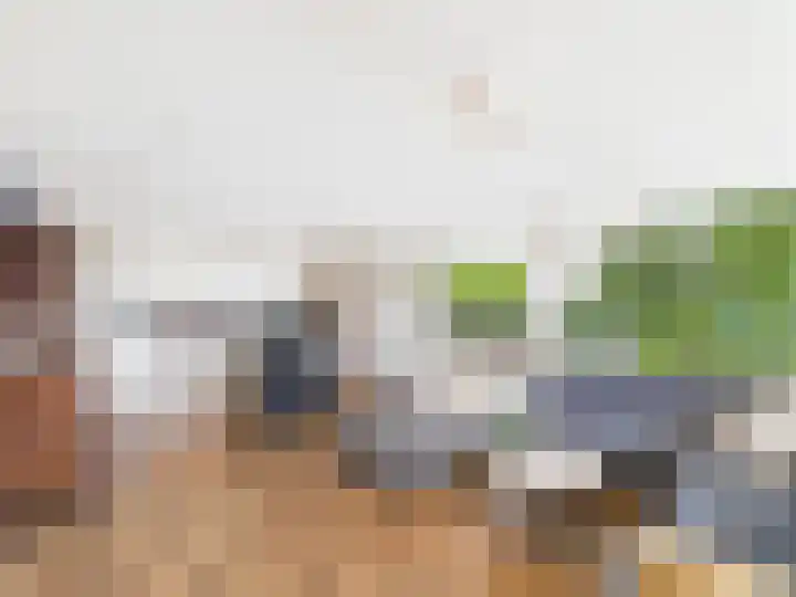 Alberdingk Thijmstraat 45 Terneuzen thumbnail 8