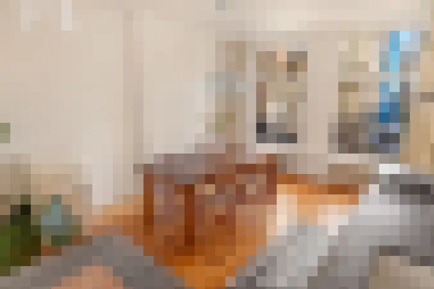 Alberdingk Thijmstraat 5 2 Amsterdam thumbnail 11