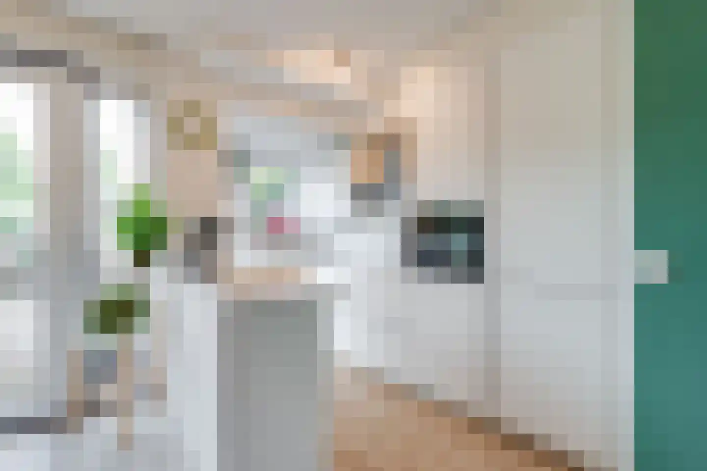 Albergerbos 120 Hoofddorp thumbnail 12