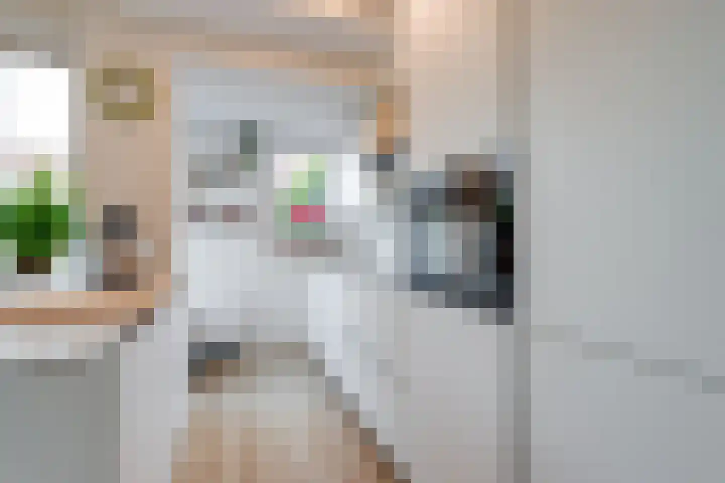 Albergerbos 120 Hoofddorp thumbnail 13